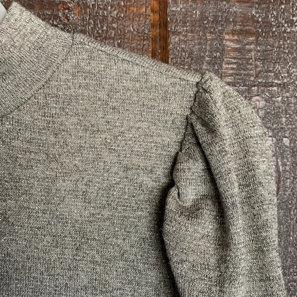 Anthropologie Dolan womens sweater size medium metallic neutral minimalist